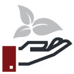 natural cbd products